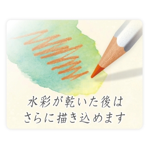 カラトアクェレル水彩色鉛筆│ステッドラー日本【公式サイト】