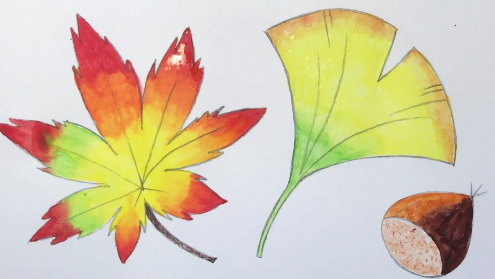 もみじ 紅葉